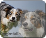 Mousepad Border Collie